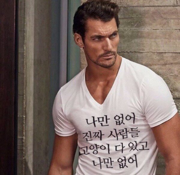 고양이 나만 없어 사람들 다있어 냥이
<script src=