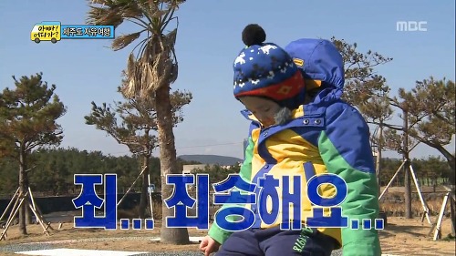 죄송 죄송해요 사과 죄송합니다 아빠 어디가 잘못했어요
<script src=