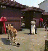 호랑이 강아지 식겁 무서워 무서운 도망 개깜놀 바둥바둥 도망쳐
<script src=